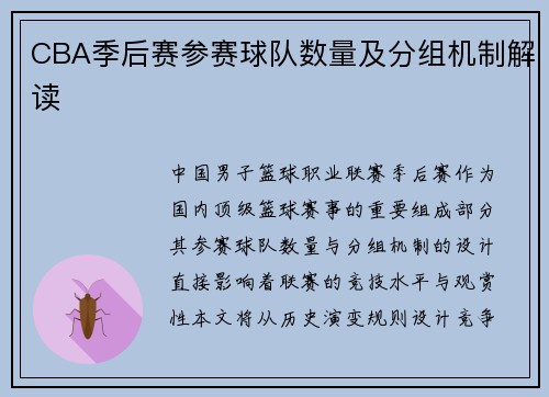 CBA季后赛参赛球队数量及分组机制解读