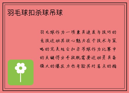 羽毛球扣杀球吊球